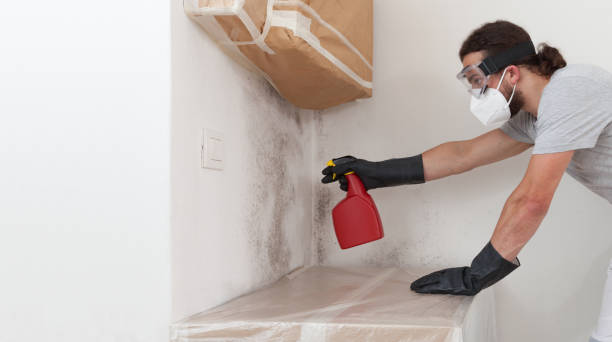 Professional Mold Removal technician working in Corapeake, NC